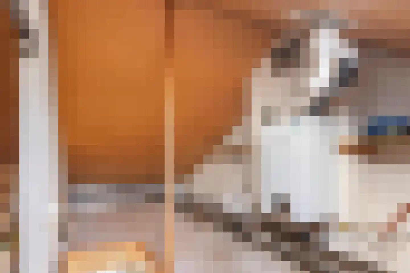 Op de Wis 1 Wellerlooi thumbnail 25
