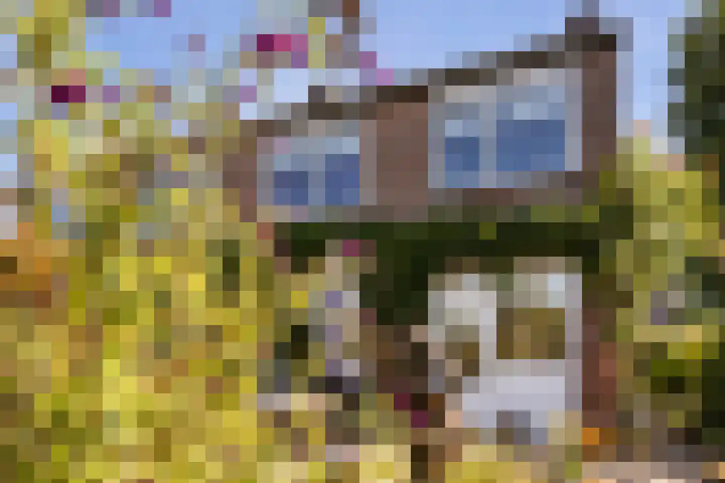 Op de Wis 1 Wellerlooi thumbnail 26