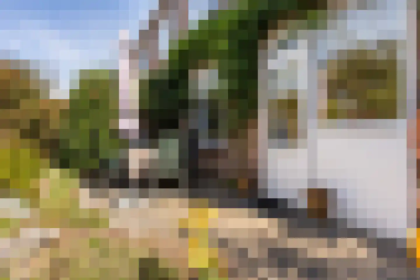Op de Wis 1 Wellerlooi thumbnail 27