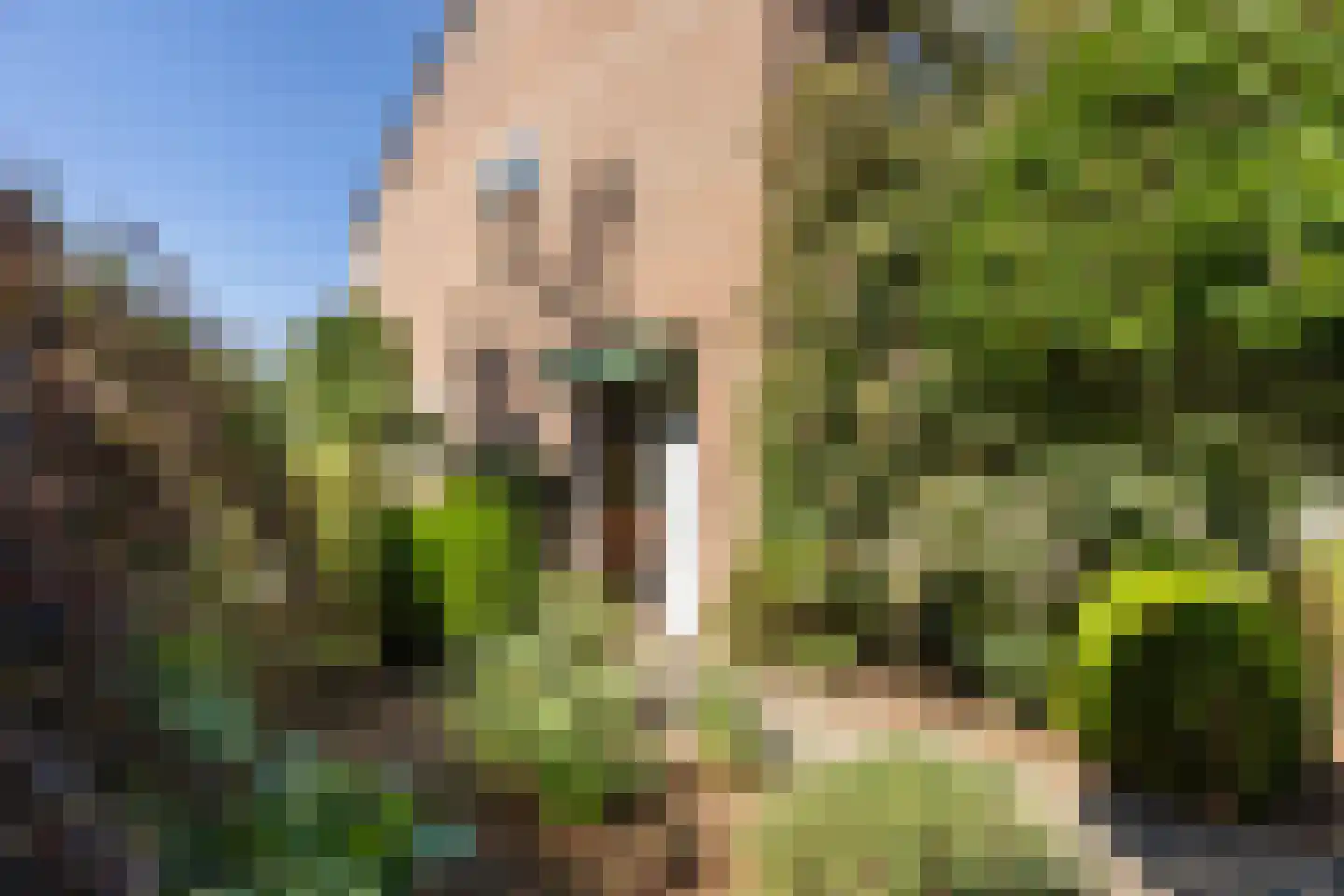 Op de Wis 1 Wellerlooi thumbnail 28