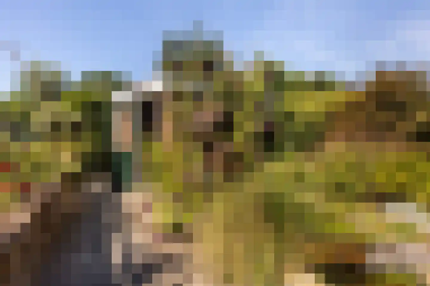 Op de Wis 1 Wellerlooi thumbnail 29