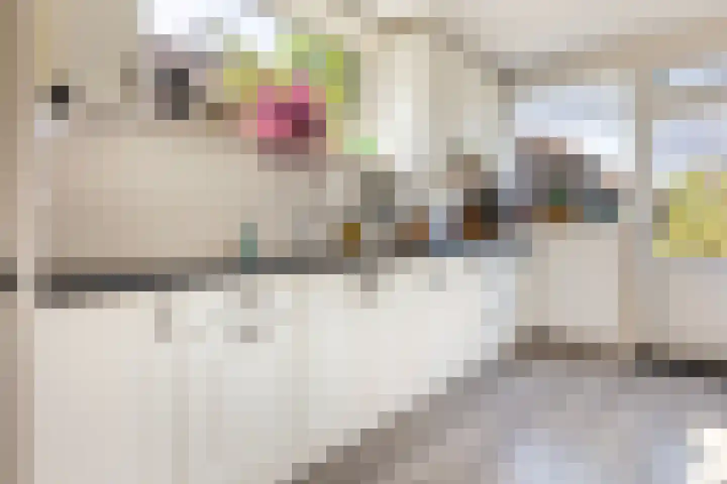 Op de Wis 1 Wellerlooi thumbnail 4