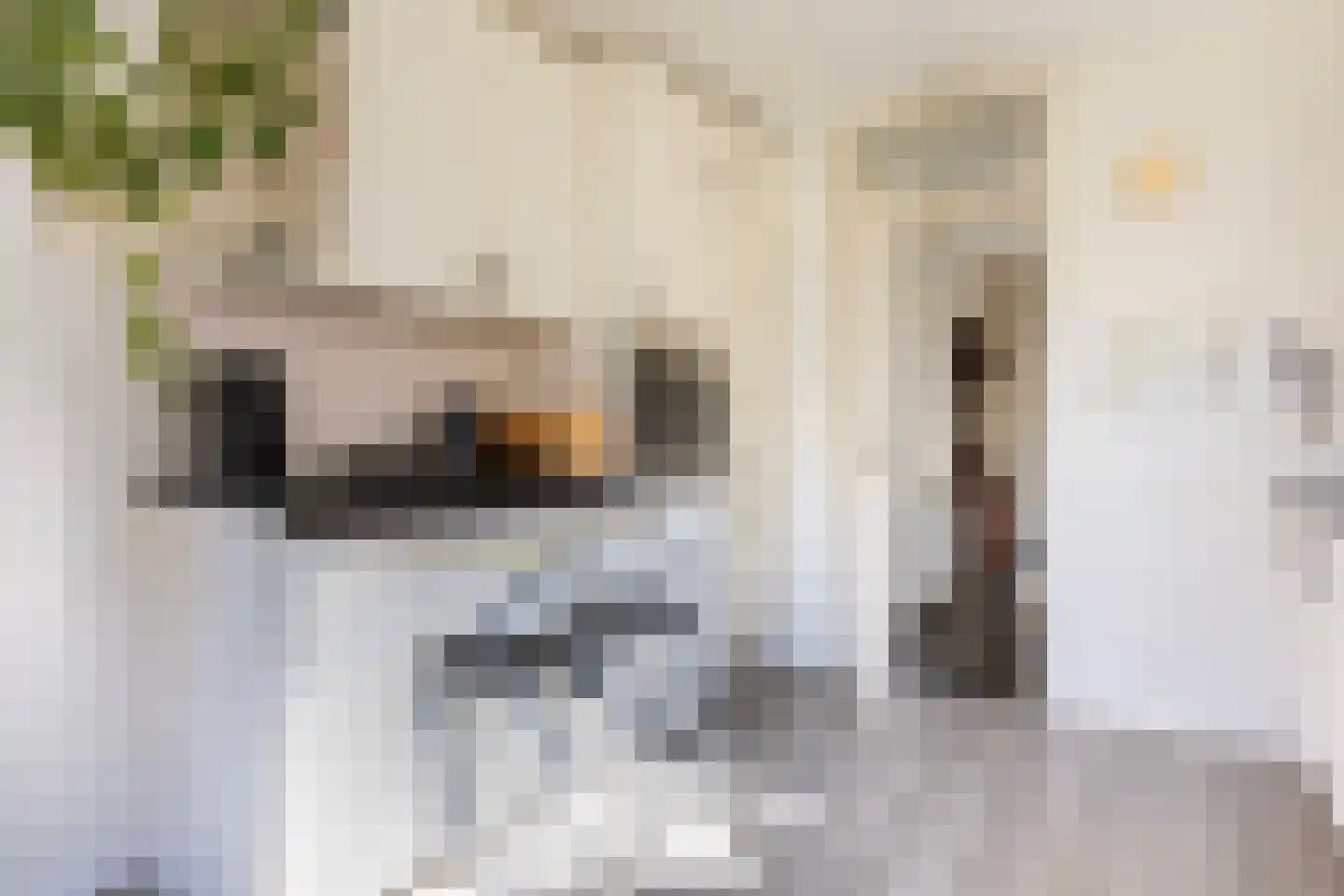 Op de Wis 1 Wellerlooi thumbnail 6