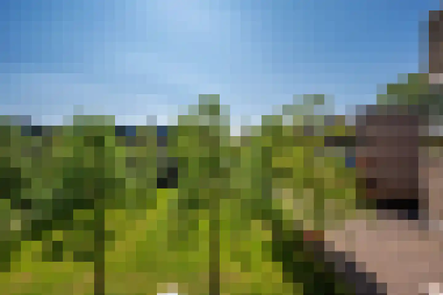 Op den Akker 19 Venlo thumbnail 18