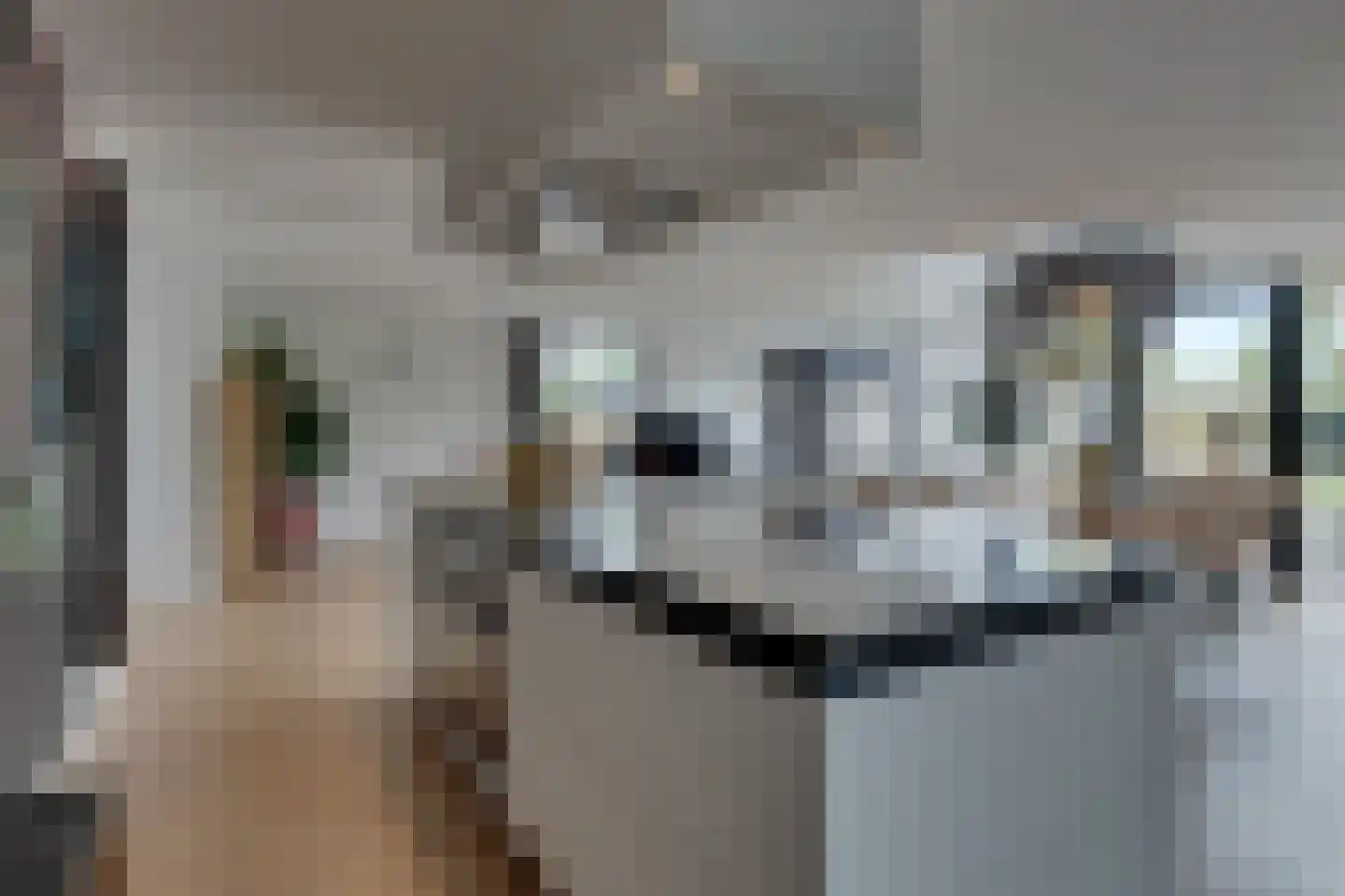 Op den Akker 24 Lichtenvoorde thumbnail 15