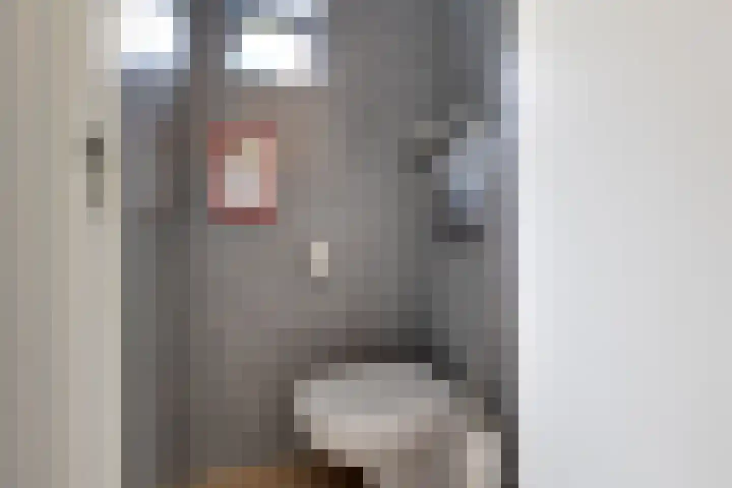 Op den Akker 24 Lichtenvoorde thumbnail 19
