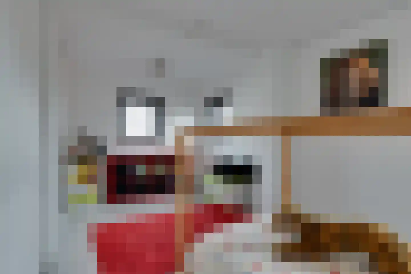 Op den Akker 24 Lichtenvoorde thumbnail 27