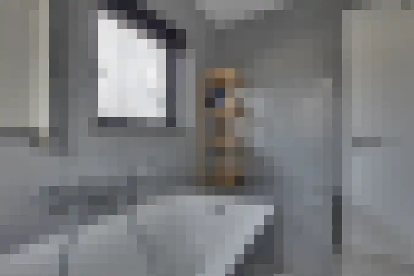 Op den Akker 24 Lichtenvoorde thumbnail 33