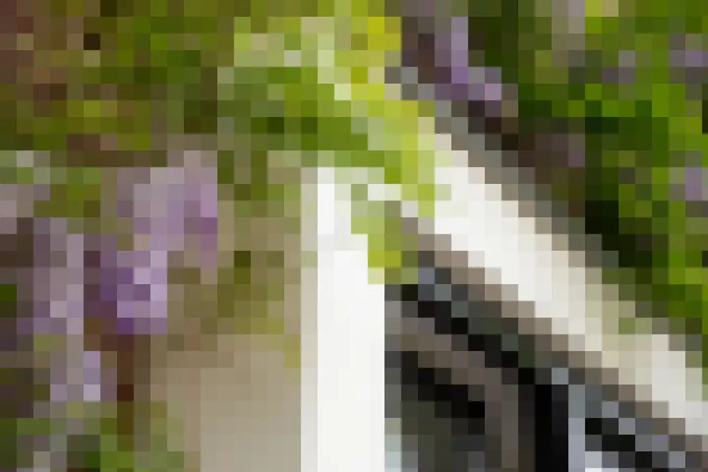 Op den Akker 24 Lichtenvoorde thumbnail 58