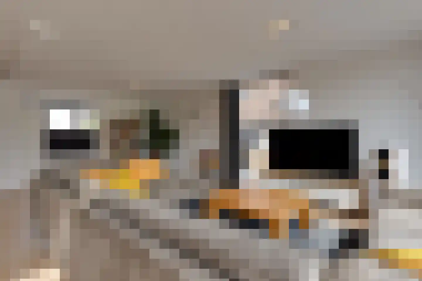 Op den Akker 24 Lichtenvoorde thumbnail 7