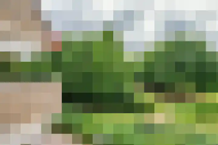 Op den Akker 61 Venlo thumbnail 17