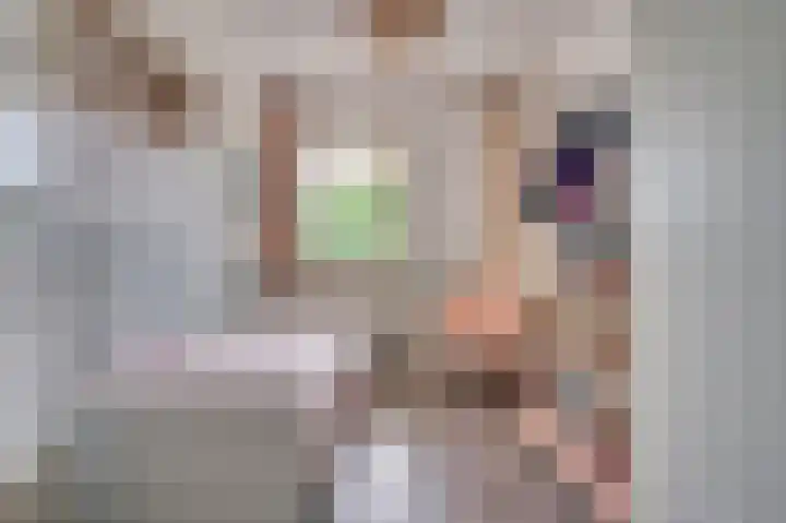 Op den Akker 61 Venlo thumbnail 9