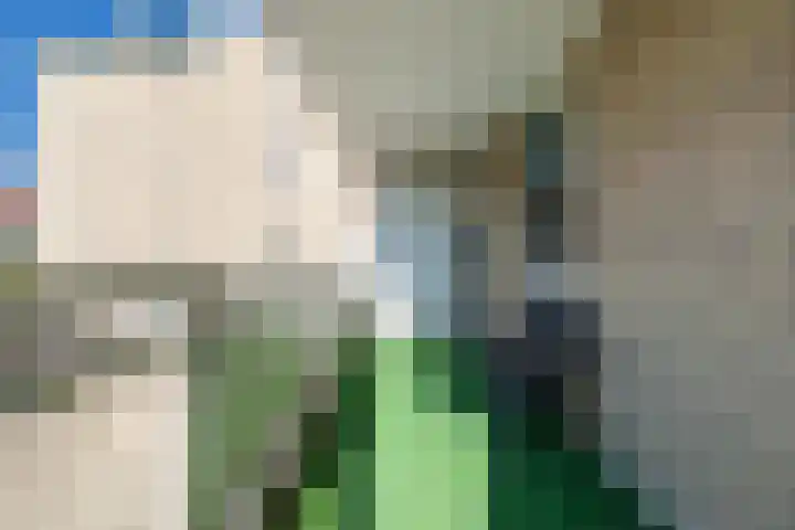 Op den Akker 64 Venlo thumbnail 31