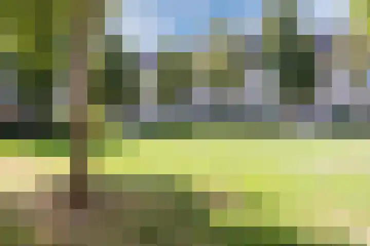 Op den Akker 64 Venlo thumbnail 35