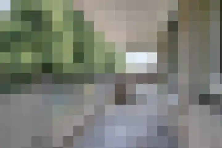 Op den Akker 98 Venlo thumbnail 35