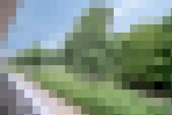 Op den Akker 98 Venlo thumbnail 37