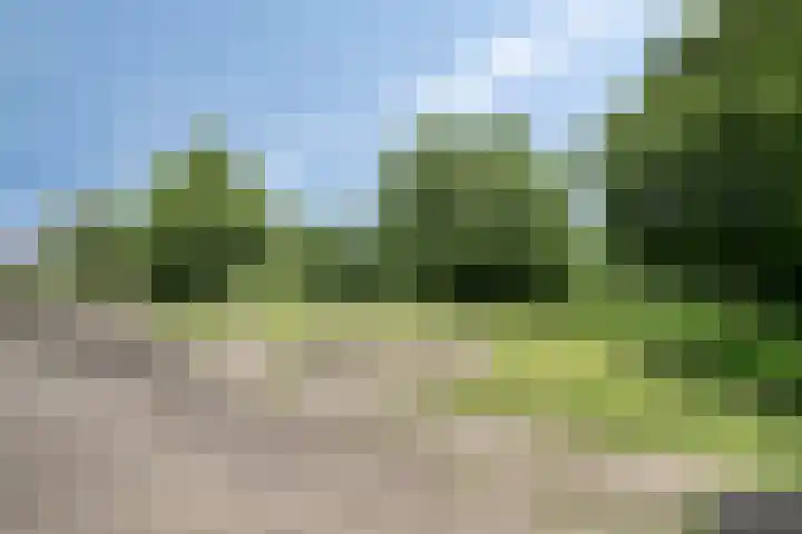 Op den Akker 98 Venlo thumbnail 40
