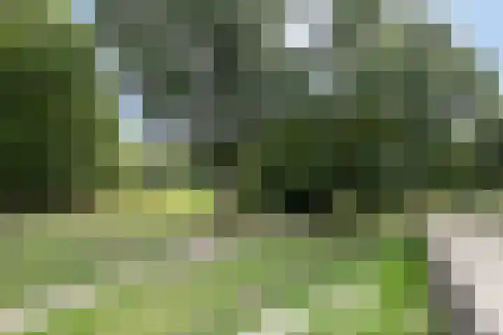 Op den Akker 98 Venlo thumbnail 41