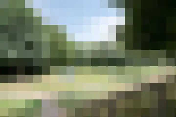 Op den Akker 98 Venlo thumbnail 42