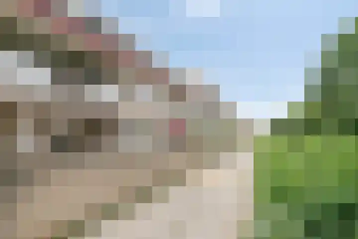 Op den Akker 98 Venlo thumbnail 6