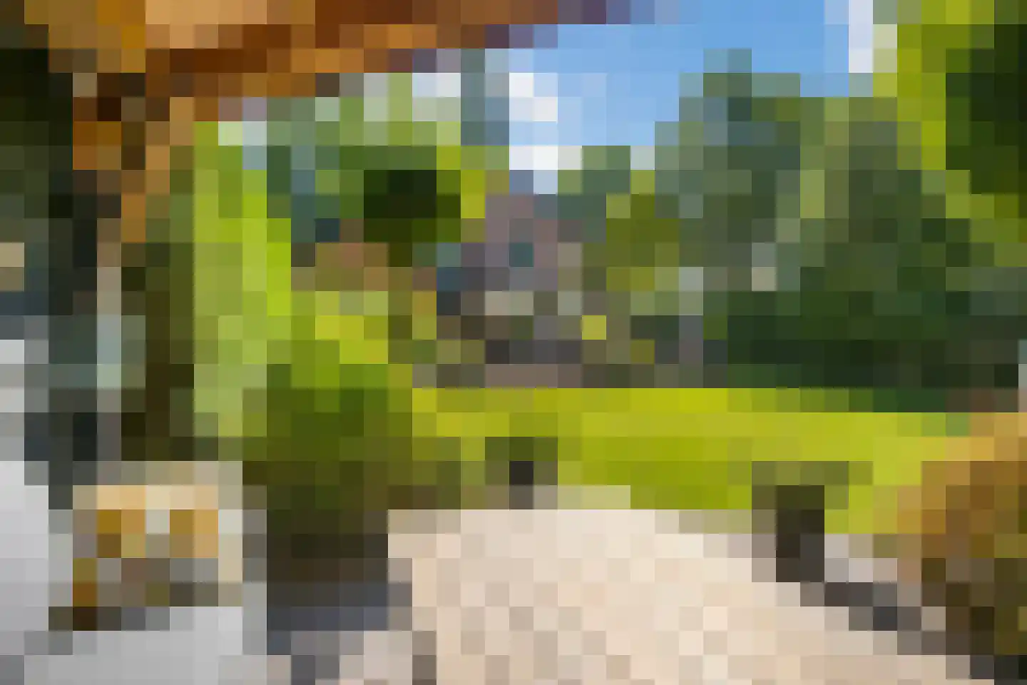 Op den Berg 13 Ede thumbnail 54