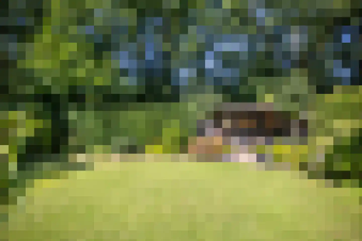 Op den Berg 13 Ede thumbnail 56
