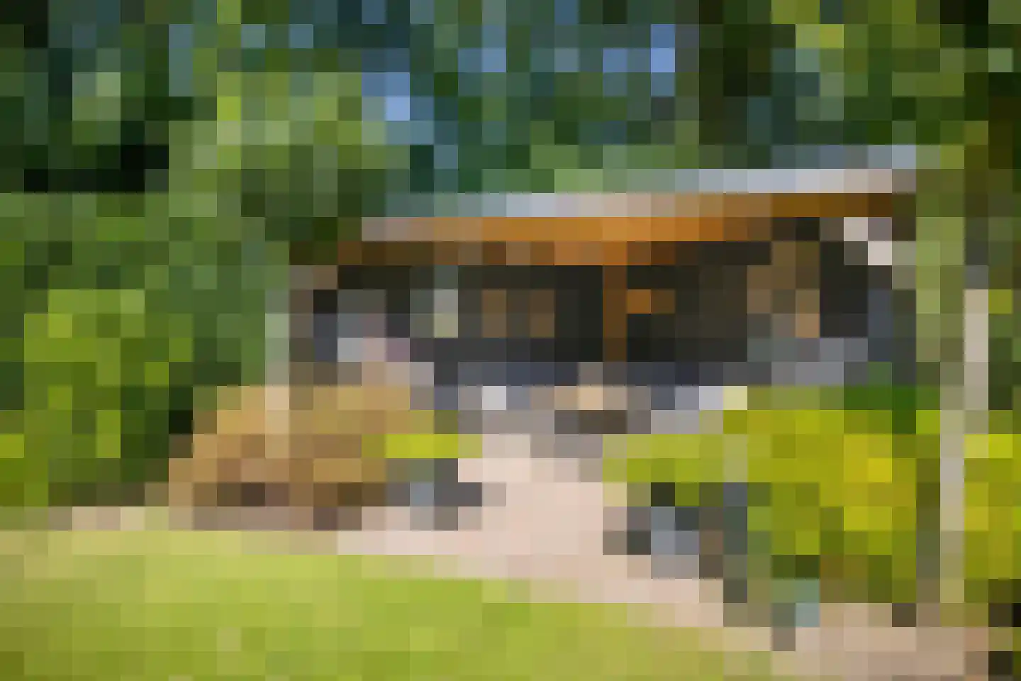 Op den Berg 13 Ede thumbnail 60