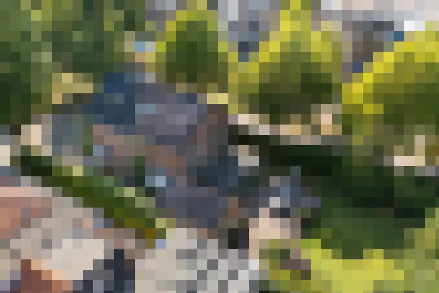 Op den Berg 13 Ede thumbnail 66