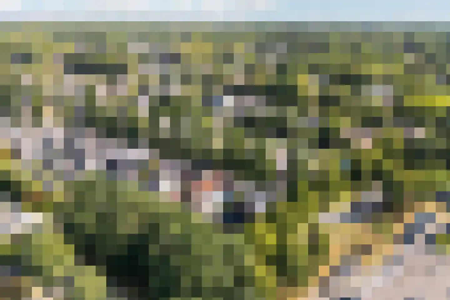Op den Berg 13 Ede thumbnail 68