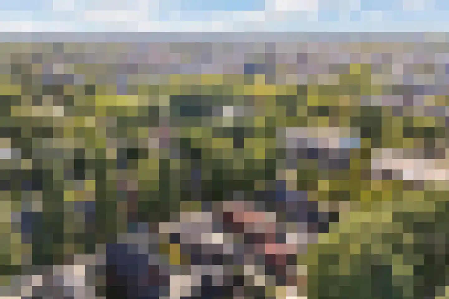 Op den Berg 13 Ede thumbnail 69