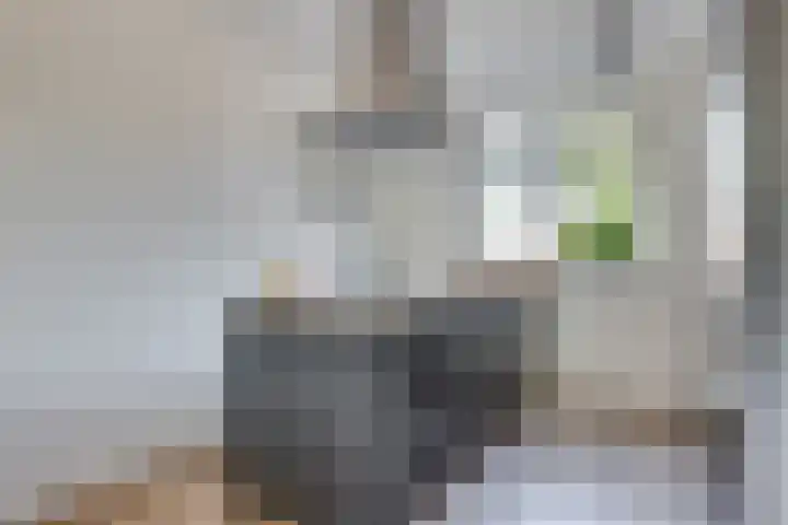 Op den Bond 4 Zieuwent thumbnail 14
