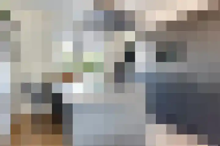 Op den Bond 4 Zieuwent thumbnail 15