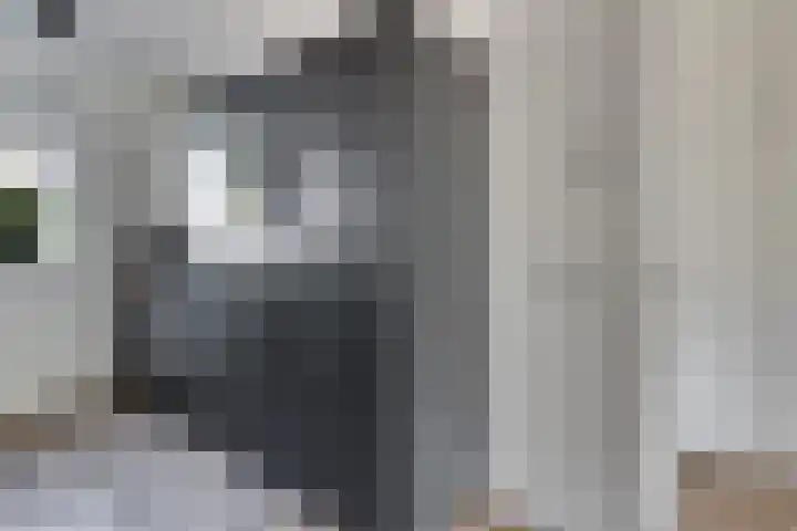 Op den Bond 4 Zieuwent thumbnail 17