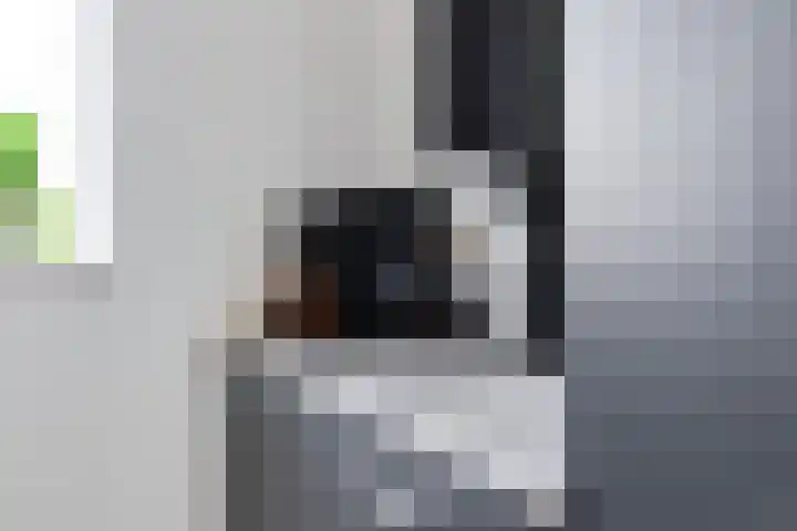 Op den Bond 4 Zieuwent thumbnail 18