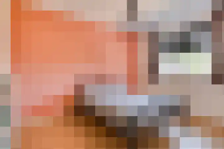 Op den Bond 4 Zieuwent thumbnail 28