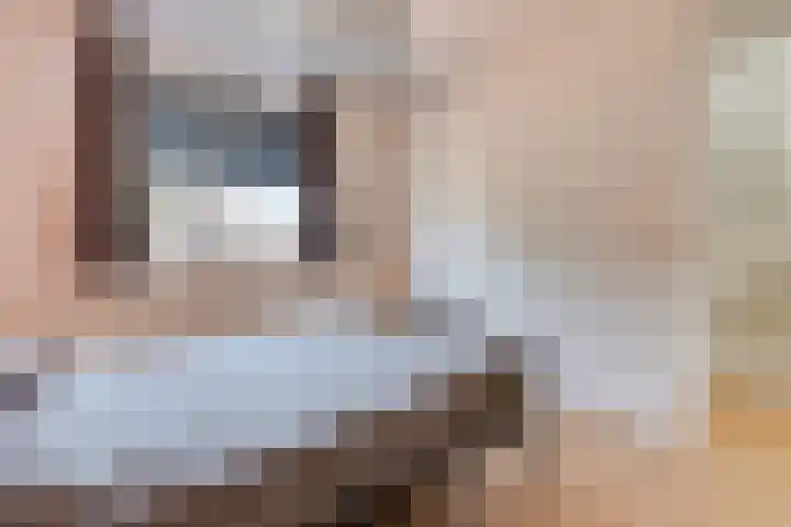 Op den Bond 4 Zieuwent thumbnail 29