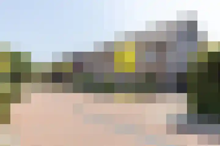 Op den Bond 4 Zieuwent foto 3