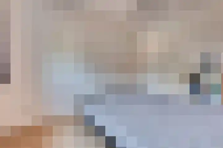 Op den Bond 4 Zieuwent thumbnail 30