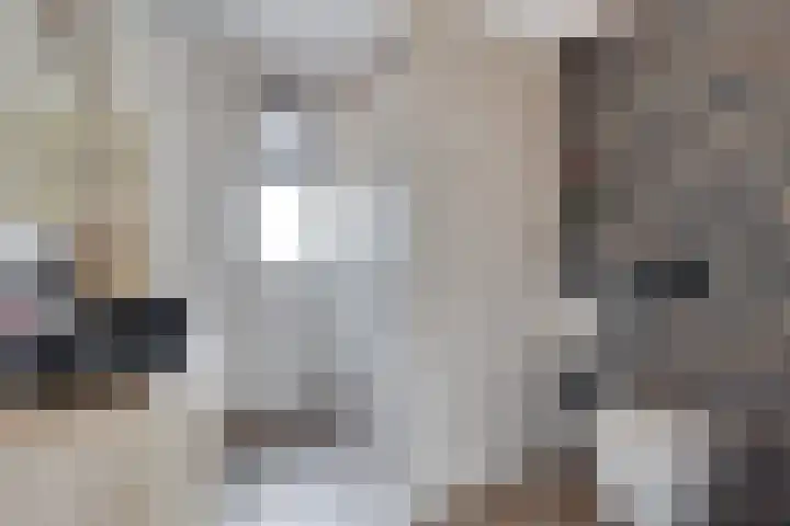 Op den Bond 4 Zieuwent thumbnail 31