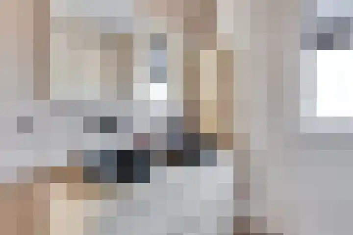 Op den Bond 4 Zieuwent thumbnail 32