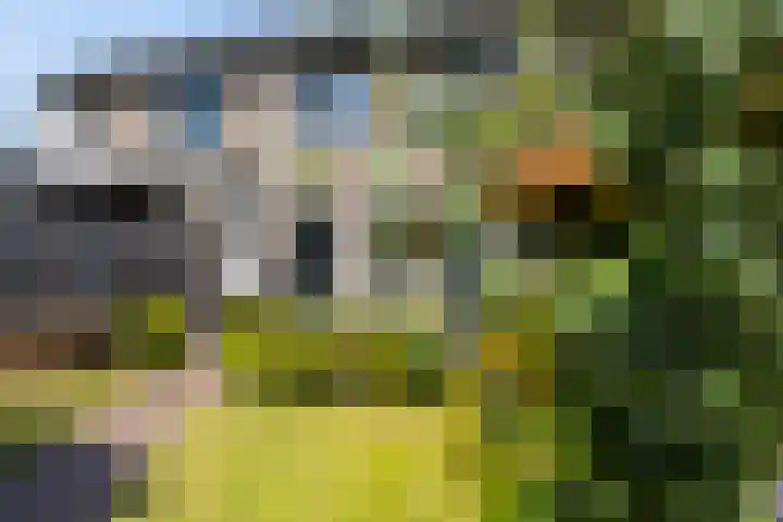 Op den Bond 4 Zieuwent thumbnail 38