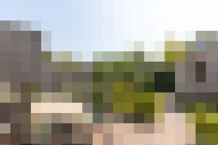 Op den Bond 4 Zieuwent thumbnail 39