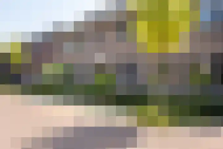 Op den Bond 4 Zieuwent thumbnail 4