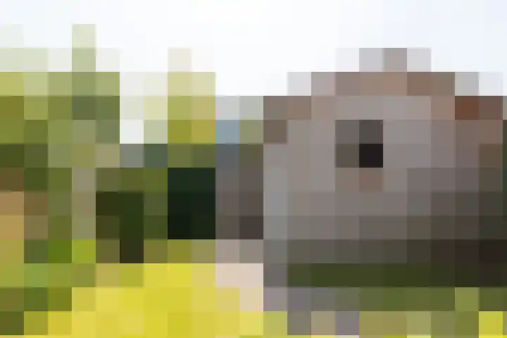 Op den Bond 4 Zieuwent thumbnail 40