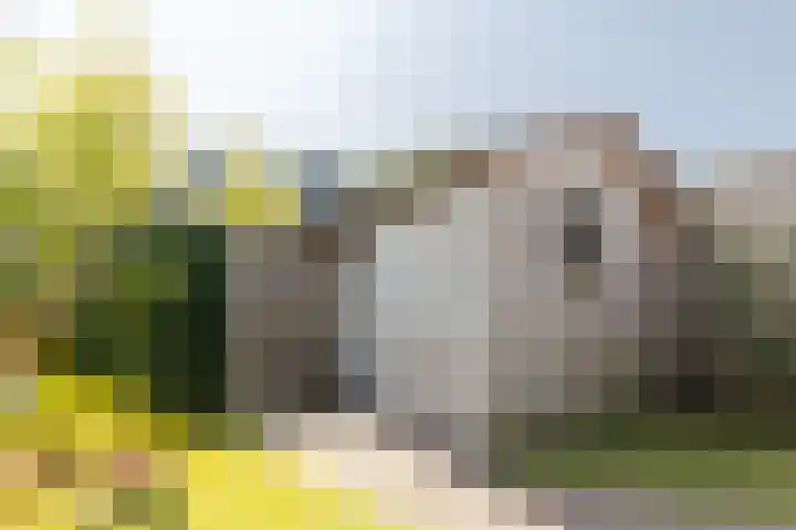 Op den Bond 4 Zieuwent thumbnail 42
