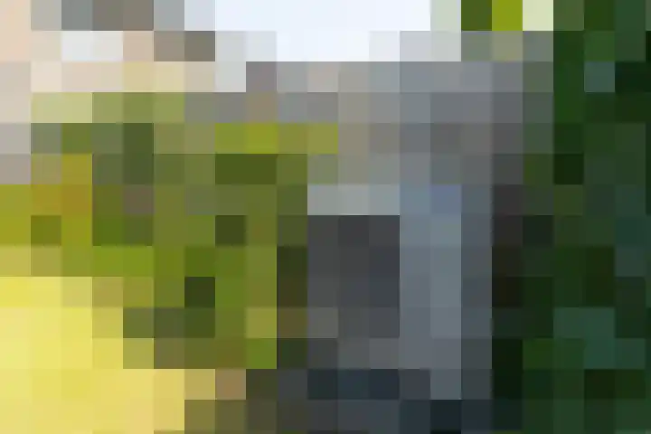 Op den Bond 4 Zieuwent thumbnail 43
