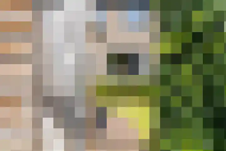 Op den Bond 4 Zieuwent thumbnail 44