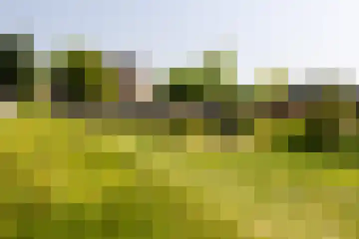Op den Bond 4 Zieuwent thumbnail 45