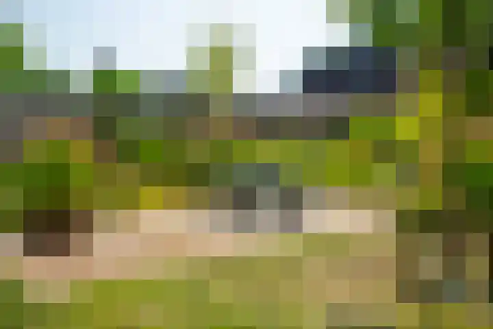 Op den Bond 4 Zieuwent thumbnail 46
