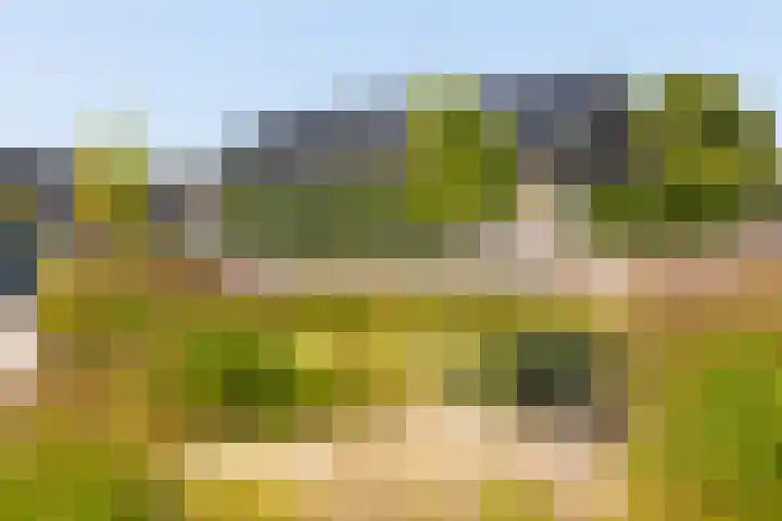Op den Bond 4 Zieuwent thumbnail 48